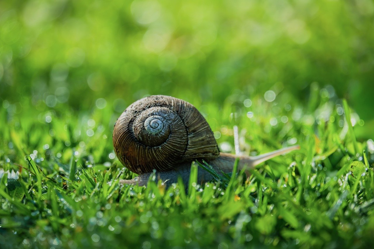 https://pixabay.com/users/1195798